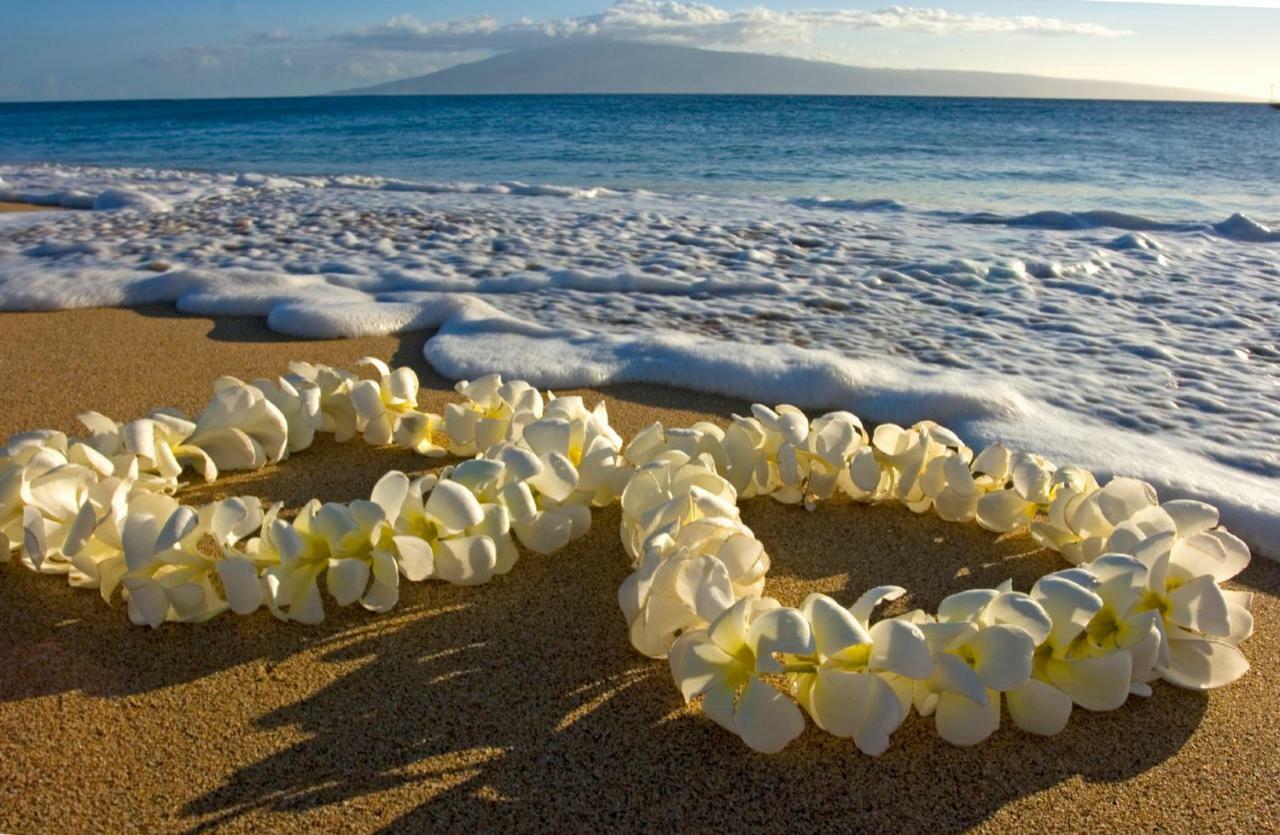 Beautiful Studio In The Heart Of Vibrant Waikiki Daire Honolulu Dış mekan fotoğraf